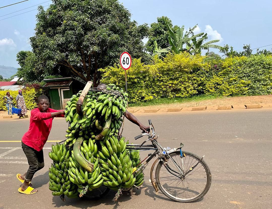 AVC News Ruanda