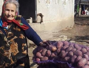 AVC Moldawien Bild Kartoffeln